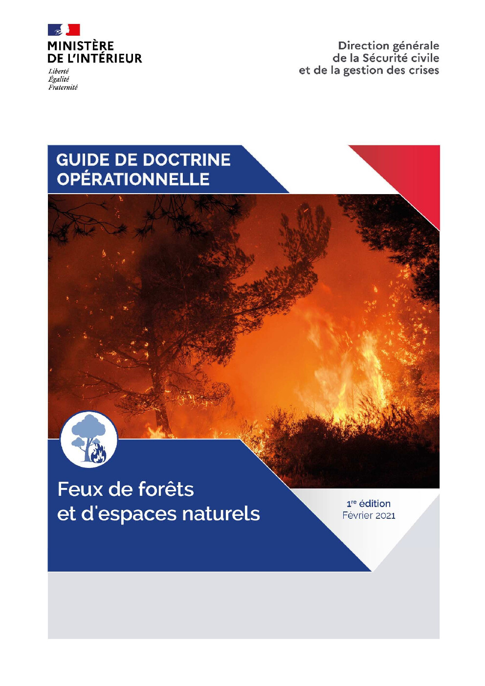 Aperçu Feux de forêts et d'espaces naturels
